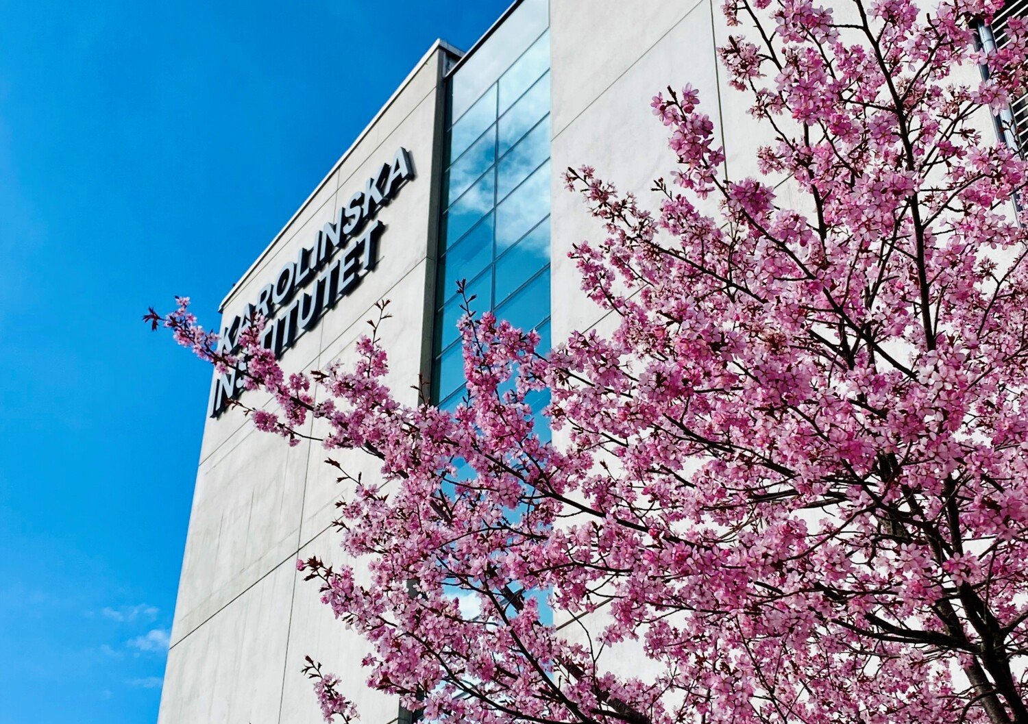 Bild på fasaden på alfred nobels allé 23 med ett blommande körsbärsträd.