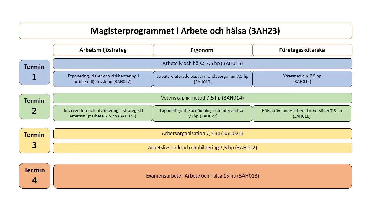 Översikt Magisterprogrammet i Arbete och hälsa