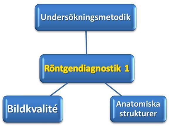 Kursuppbyggnad Röntgendiagnostik