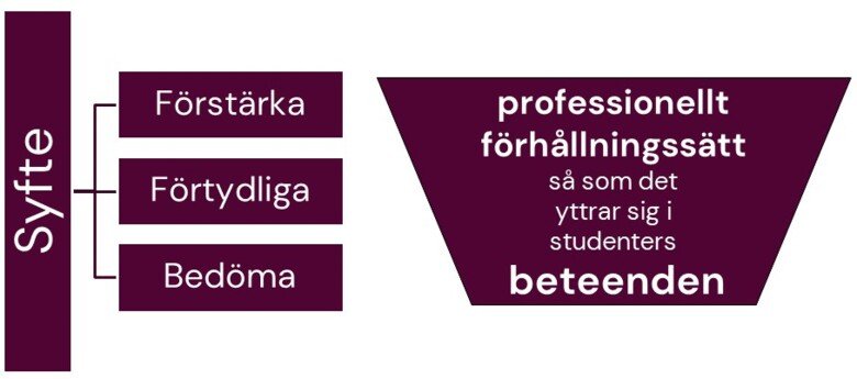 Schematisk bild över professionellt förhållningssätt.