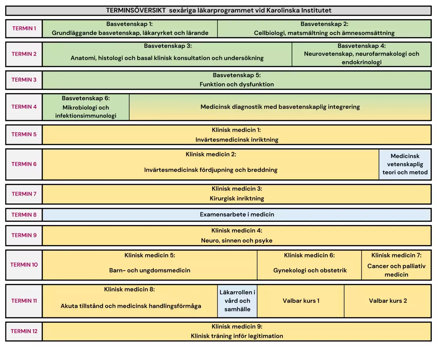 Terminsöversikt för sexåriga läkarprogrammet.