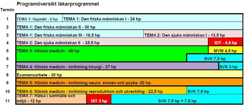 Program versikt 5 5 riga L karprogrammet Karolinska Institutet Program versikt 5 5 riga L karprogrammet Karolinska Institutet