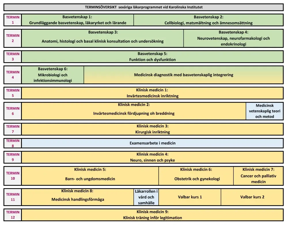 Terminsöversikt sexåriga läkarprogrammet