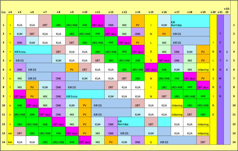 Ramschema T7 Klinisk medicin, inriktning kirurgi i Läkarprogrammet VT