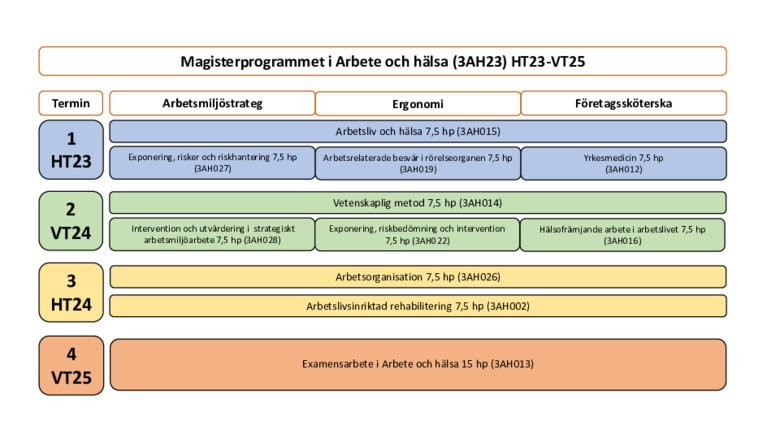 Översikt Magisterprogrammet i Arbete och hälsa HT23-VT25.