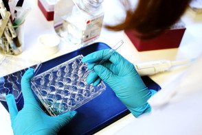 Hands in lab environment holdin equipment.